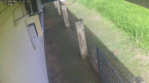 Caméra IP - Suriname