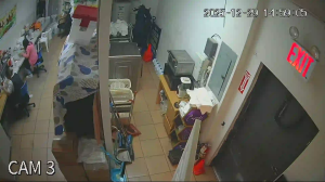 Caméra IP - États-Unis d'Amérique