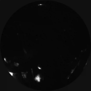 Caméra IP - Corée du Sud