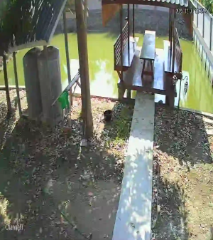 Caméra IP - Thailand