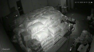 Caméra IP - Malaisie