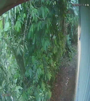 Caméra IP - Costa Rica
