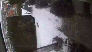 Caméra IP - Germany