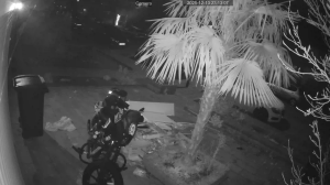 Caméra IP - Pays-Bas