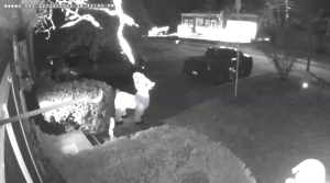 Caméra IP - États-Unis d'Amérique