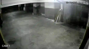 Caméra IP - Argentinien