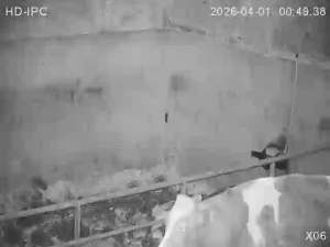 Caméra IP - Irlande