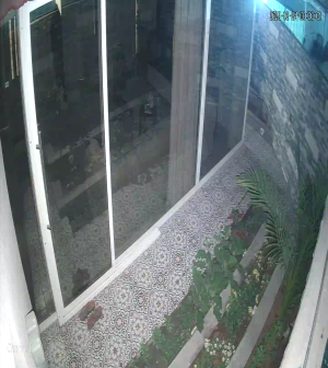 Caméra IP - Émirats Arabes Unis