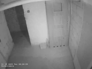 Caméra IP - Polonia