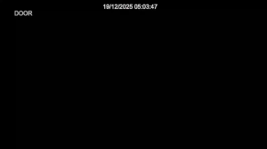 Caméra IP - Vue en direct