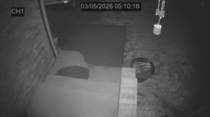 Caméra IP - Porto Rico