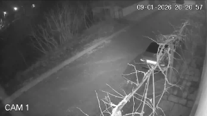 Caméra IP - Bulgaria