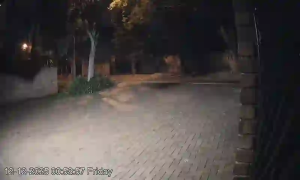 Caméra IP - Südafrika