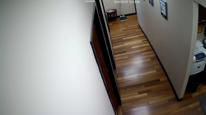 Caméra IP - Stati Uniti d'America