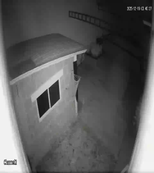 Caméra IP - México