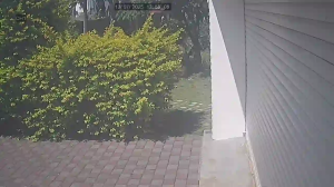 Caméra IP - Mauritius