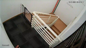 Caméra IP - Malaysia