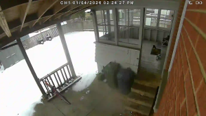 Caméra IP - United States of America