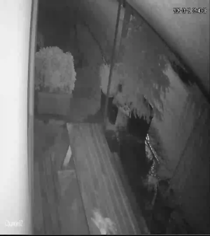 Caméra IP - Türkiye