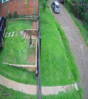 Caméra IP - Paraguay