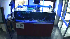 Caméra IP - Türkei