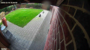 Caméra IP - Germany