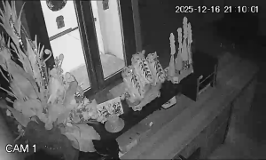 Caméra IP - Singapore