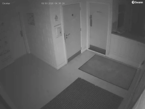 Caméra IP - Vue en direct