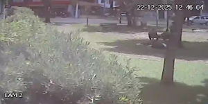 Caméra IP - Brasilien