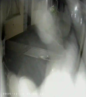 Caméra IP - Argentine