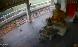 Caméra IP - Tailandia