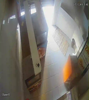 Caméra IP - Tunisie