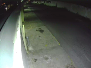 Caméra IP - Venezuela