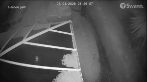 Caméra IP - United Kingdom