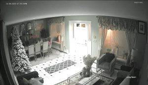 Caméra IP - États-Unis d'Amérique