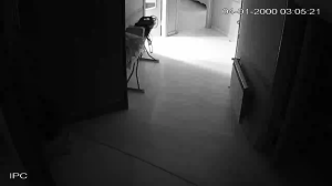 Caméra IP - Azerbaijan