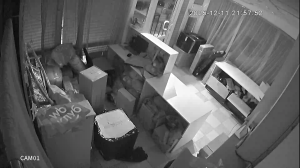 Caméra IP - Russian Federation