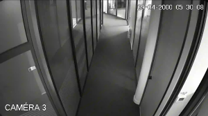 Caméra IP - Francia