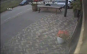 Caméra IP - Netherlands