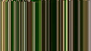 Caméra IP - Stati Uniti d'America