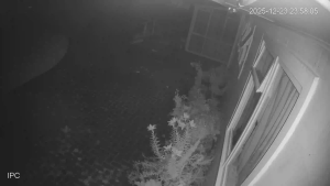 Caméra IP - Nouvelle-Zélande