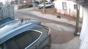 Caméra IP - Vereinigte Staaten von Amerika