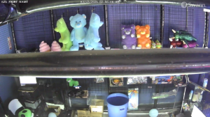 Caméra IP - United States of America