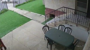 Caméra IP - Israël