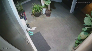 Caméra IP - Malaysia