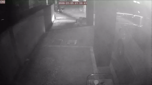 Caméra IP - South Korea