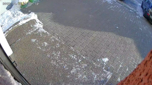 Caméra IP - Vue en direct