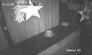 Caméra IP - Alemania