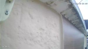 Caméra IP - Brésil