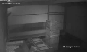 Caméra IP - Portugal